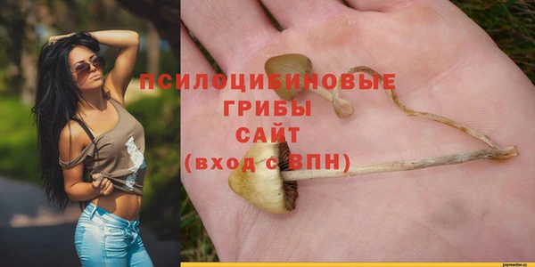 шишки Липки