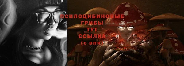 шишки Липки