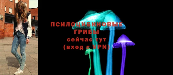 шишки Липки