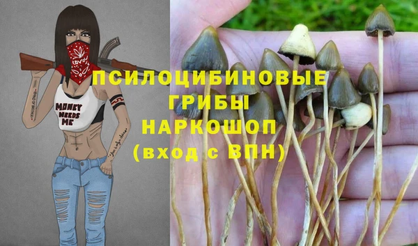 шишки Липки