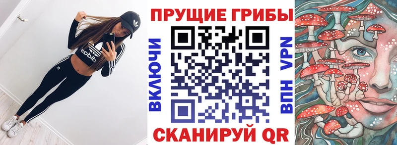 Галлюциногенные грибы прущие грибы  Купить закладки  Псков 