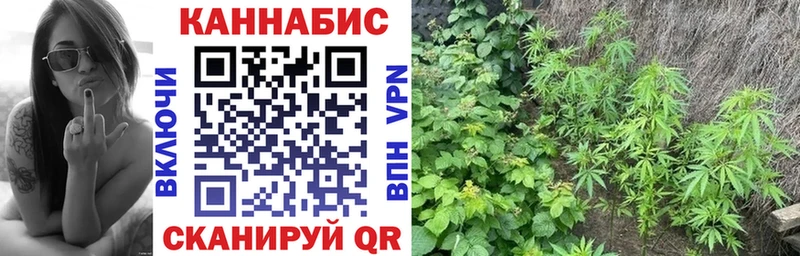 Шишки марихуана Bruce Banner Псков